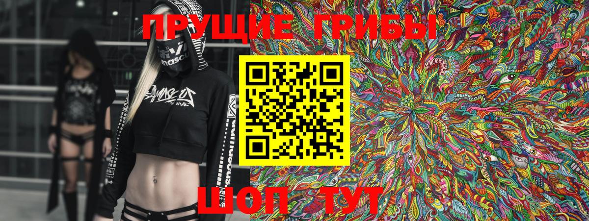 Галлюциногенные грибы Psilocybine cubensis  Псилоцибиновые грибы Cubensis  Вход с VPN  Прохладный 